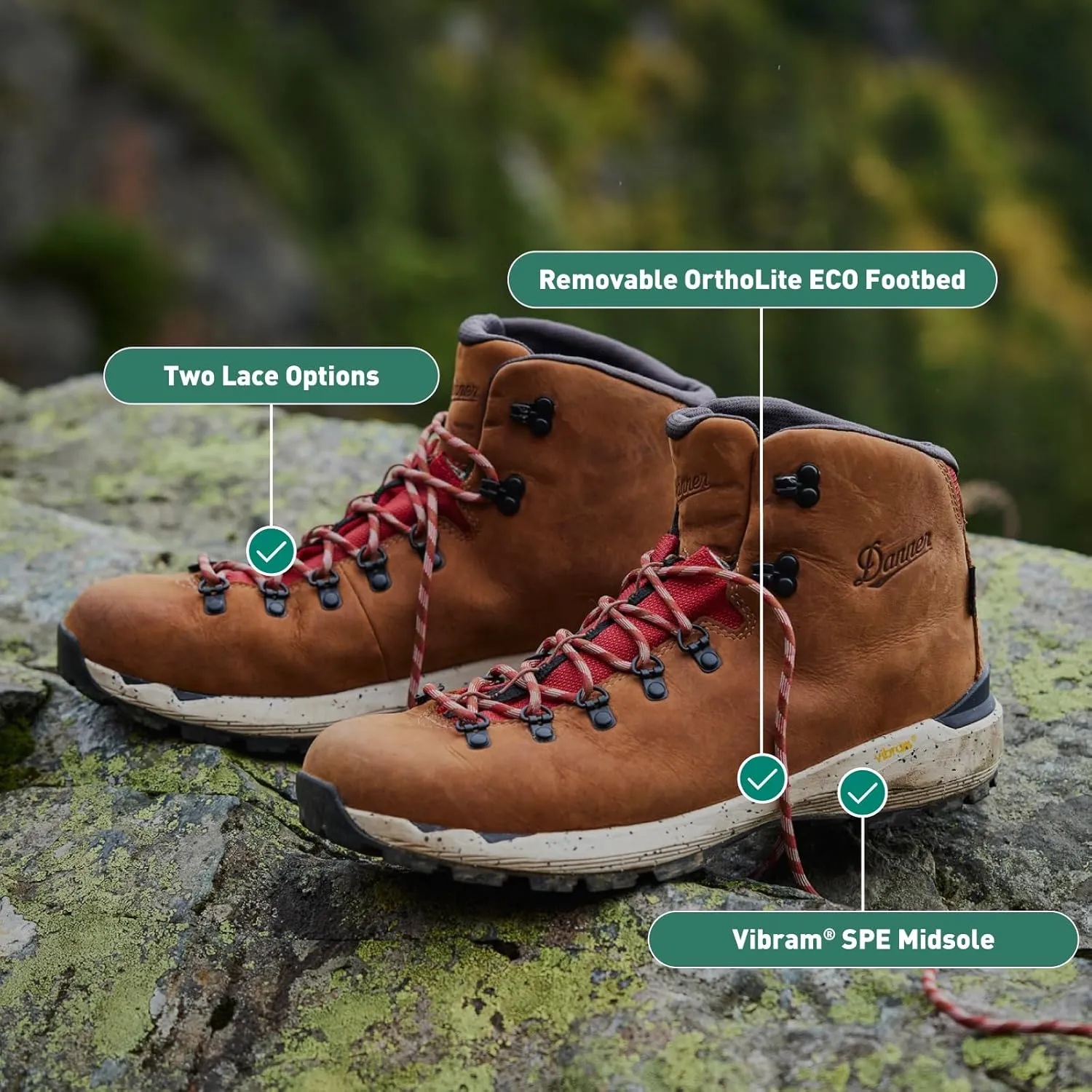 Danner Women's Mountain 600 Evo 4"