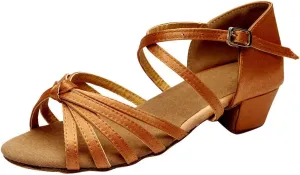 Women's Latin Dance Shoes Ballroom Practice Dance Heels Dressy Wedding Bride Sandals Prom Graduation Business Heels